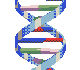 Dna12