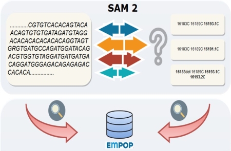 Empop4_sam2_2018